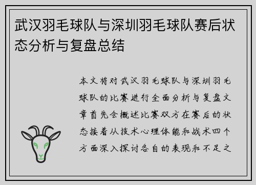 武汉羽毛球队与深圳羽毛球队赛后状态分析与复盘总结